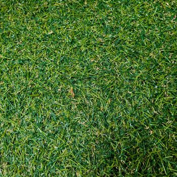 green lawn background with rustic texture of brazil image