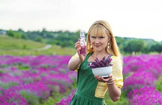 A woman collects lavender for essential oil. Selective focus. Nature.