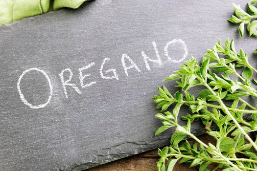 Fresh oregano and a chalkboard sign with oregano wriiten on it.