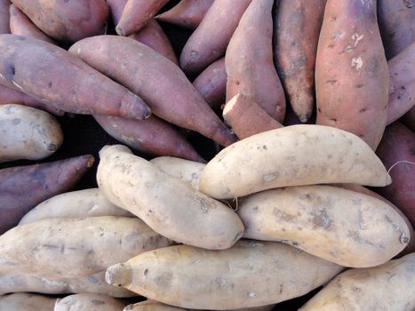 Pile of Purple and White Yams for sale at a market.                               