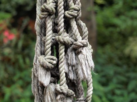 Hanging gray ropes tied in knots in a Garden