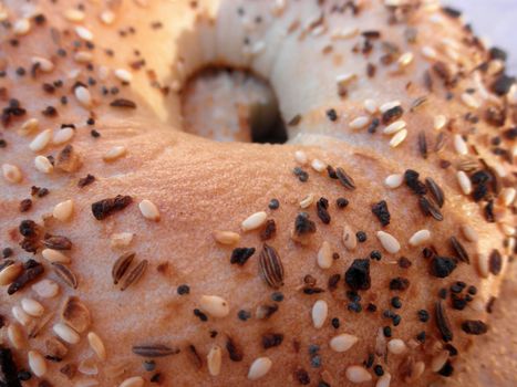 Close-up of an Everything Bagel sliced in two halves