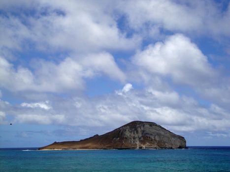 Rabbit Island in Waimanalo Bay off the coast of Oahu, Hawaii with bird flying by.