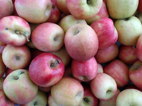 Pile of small red apples for sale at Farmers Market in San Francisco.