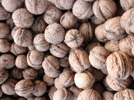 Farmers Market Organic Walnuts, making a great pattern.