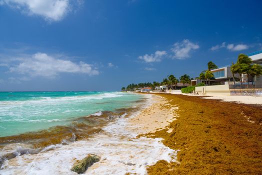 Sandy beach on a sunny day with hotels in Playa del Carmen, Mexico.