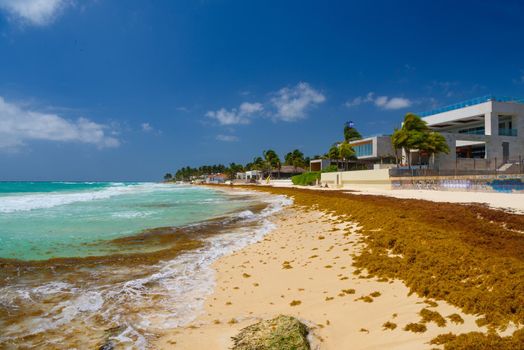Sandy beach on a sunny day with hotels in Playa del Carmen, Mexico.