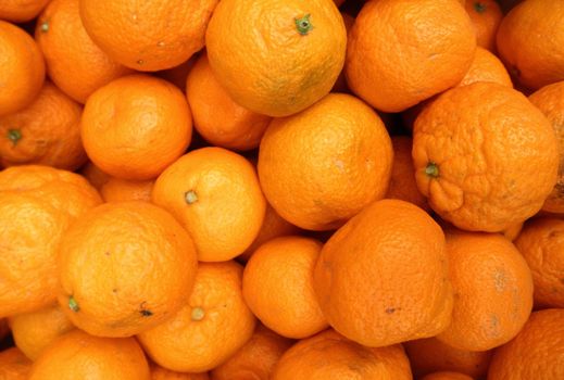 Tangerines at Farmers Market in San Francisco