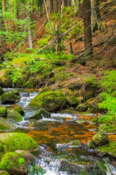 Small waterfall river and stream landscape panorama on the Brocken mountain in National Park Harz in Wernigerode Lower Saxony Germany.