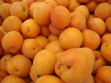 a bunch of Orange peaches at a farmers Market