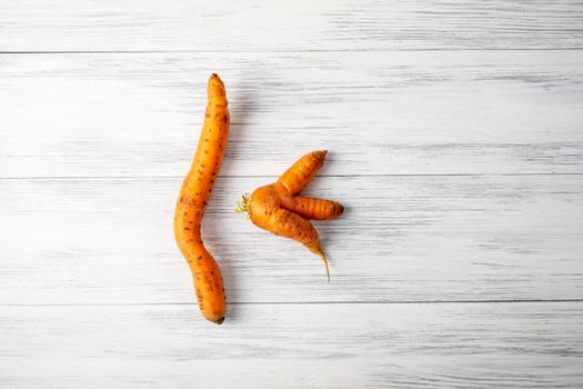 Top view close-up of two ripe orange ugly carrots lie on a light wooden surface with copy space for text. Selective focus.