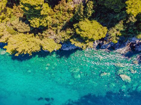 Picturesque sea Adriatic coast of Montenegro. Turquoise Mediteran sea and rocky shore with evergreen coniferous trees. Wonderful summer landscape. Drone.