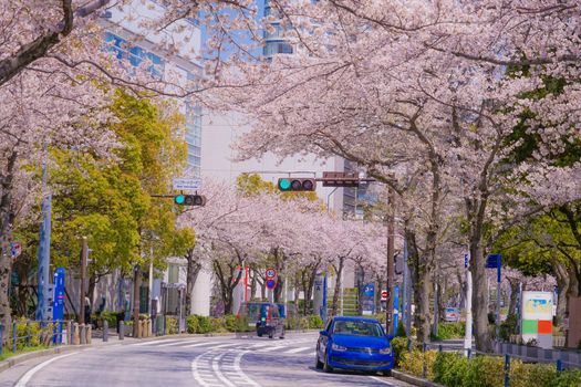 The city of full bloom and the city of Yokohama Minato Mirai. Shooting Location: Yokohama-city kanagawa prefecture
