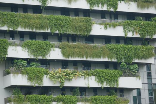 building with plants growing on the facade.