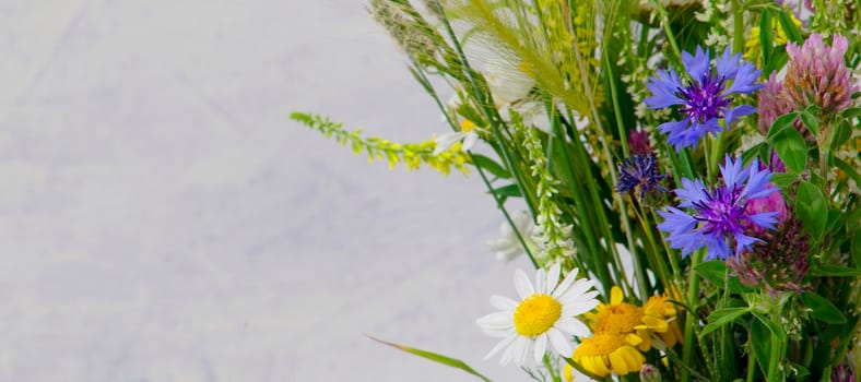 banner with summer field bouquet. chamomile, cornflowers, grass and cereals on a light background with copy space. soft focus. Summer or spring concept