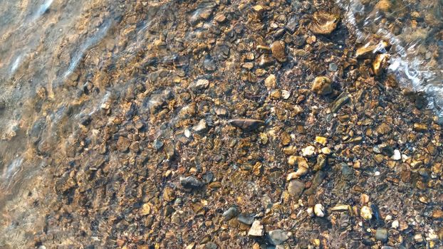 Top view on colorful pebbles covered by water. Close up view of smooth round pebble stones on the beach.