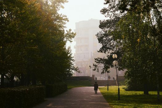 People among trees and fog and street lamps