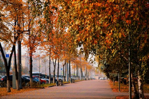 Bright autumn trees and footpath