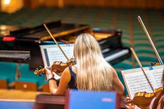a violinist plays at a concert in the Philharmonic.