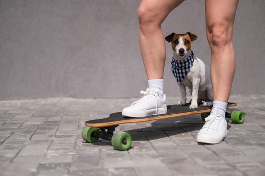 Caucasian woman riding a longboard along with dog jack russell terrier