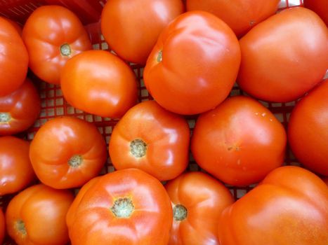 Beef Steak Tomatoes for sale at farmers market in Honolulu, Hawaii.