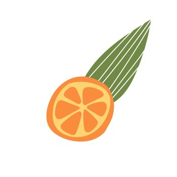 Orange fruit, slice and leaves. Doodle hand drawn vector illustration isolated on white background. Simple hand drawn icon