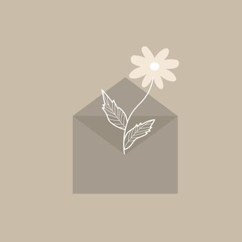 Chamomile in an envelope in brown pastel colors. Simple elements for design