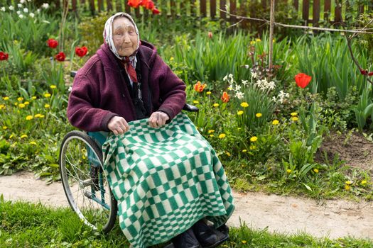 very old senior woman in wheelchair.