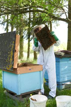 Vertical photo of a beekeeper with protective gear working on a farm