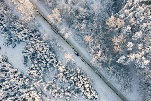 Aerial top down view from drone of snowy ice road in sunny winter day. Birds eye drone view of automobile car moving on asphalt road surrounded by beautiful coniferous forest. Fly over winter road