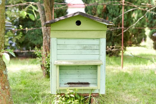 One artificial hive of bees on a garden with some bees arround