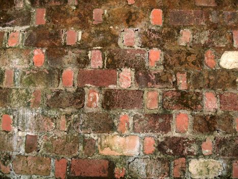 Old worn red brick wall with green moss beginning to grow.