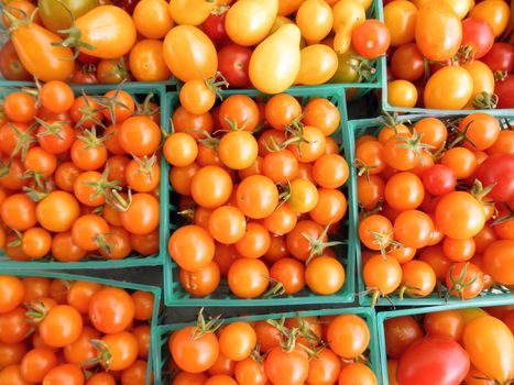 Close up of orange cherry tomatoes in green plastic baskets at a farmers market in San Francisco.