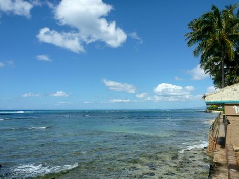 Concrete path with metal railing along cliff shore with coconut trees over head next to shallow ocean waters of Waikiki looking into the pacific ocean.  Taken at Leahi Beach Park on Oahu, Hawaii.