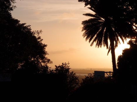 Dramatic colors of dusk seen through the trees in the mountains with Honolulu in the distance on Oahu, Hawaii