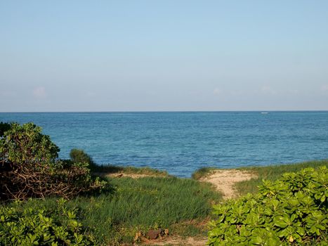 Sand Pathway leading to the ocean surrounded by plant in Waimanalo, Hawaii