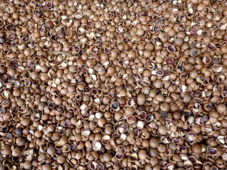 Large pile of macadamia nuts cracked shells making a pattern background.