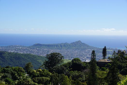 Diamondhead and the city of Honolulu, Kaimuki, Kahala, and oceanscape on Oahu on a nice day viewed from high in the mountains with tall trees in the foreground.