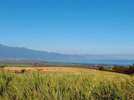 Maui Landscape view of sugarcane crops, mountains, coast, and ocean in Maui, Hawaii on as beautiful day.