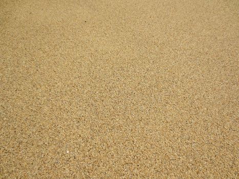 Grains of Kahala Beach Sand, shells, rocks on Oahu, Hawaii.