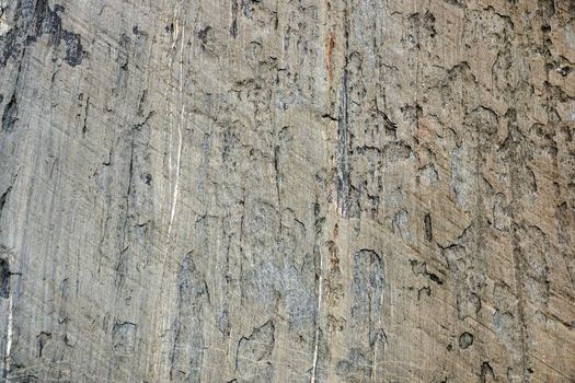 Worn Granite Stone Rock Close-up with line pattern.