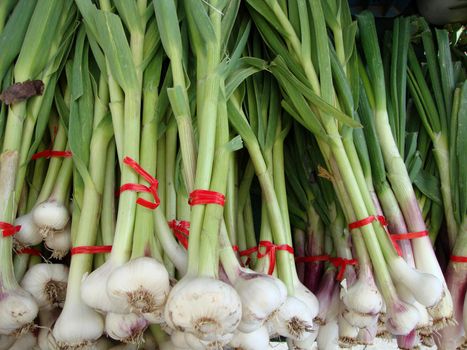 Close-up of Green onion for sale at farmers market in San Francisco, California.