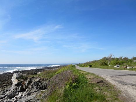 Peaks Island granite rocky Shoreline with road, trees in Maine.