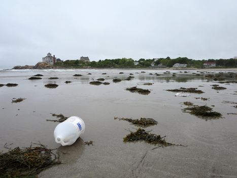 Plastic bottle trash on Good Harbor Beach, Gloucester, Massachusetts.