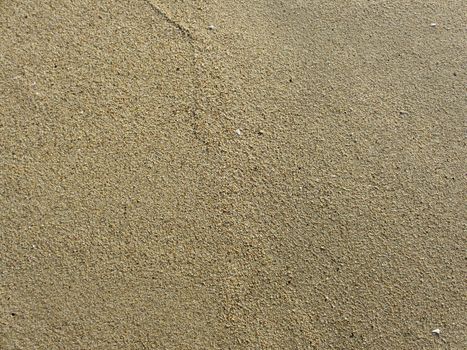 Beach Sand in Half Moon Bay and bits of shells. 