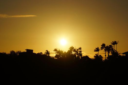 Sunset past tropical mountain silhouette with houses and trees on Oahu, Hawaii