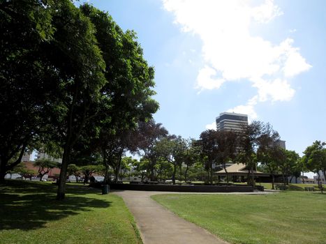 Cement Path lined with trees in Honolulu Stadium State Park