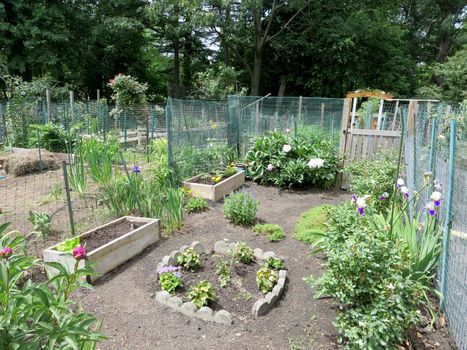 Boston Community Garden in a tree surrounded area