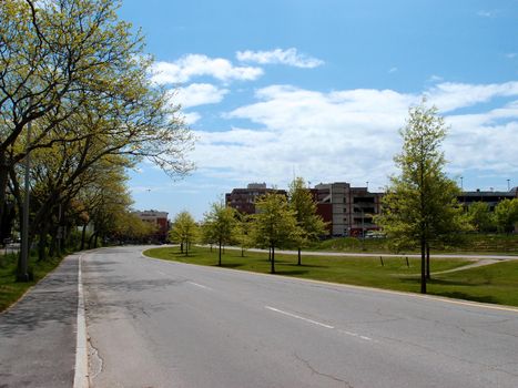 Highway one road surrounded by trees, clouds, and bird flying in the air in Portland, Maine.