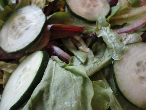 Close-up of Classic Garden Salad featuring Cucumbers, onions,  and lettuce.